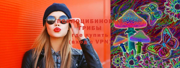 твердый Надым