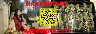 индика Моздок