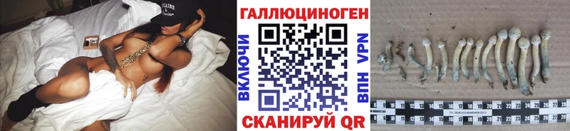 Псилоцибиновые грибы Psilocybine cubensis  Новодвинск 