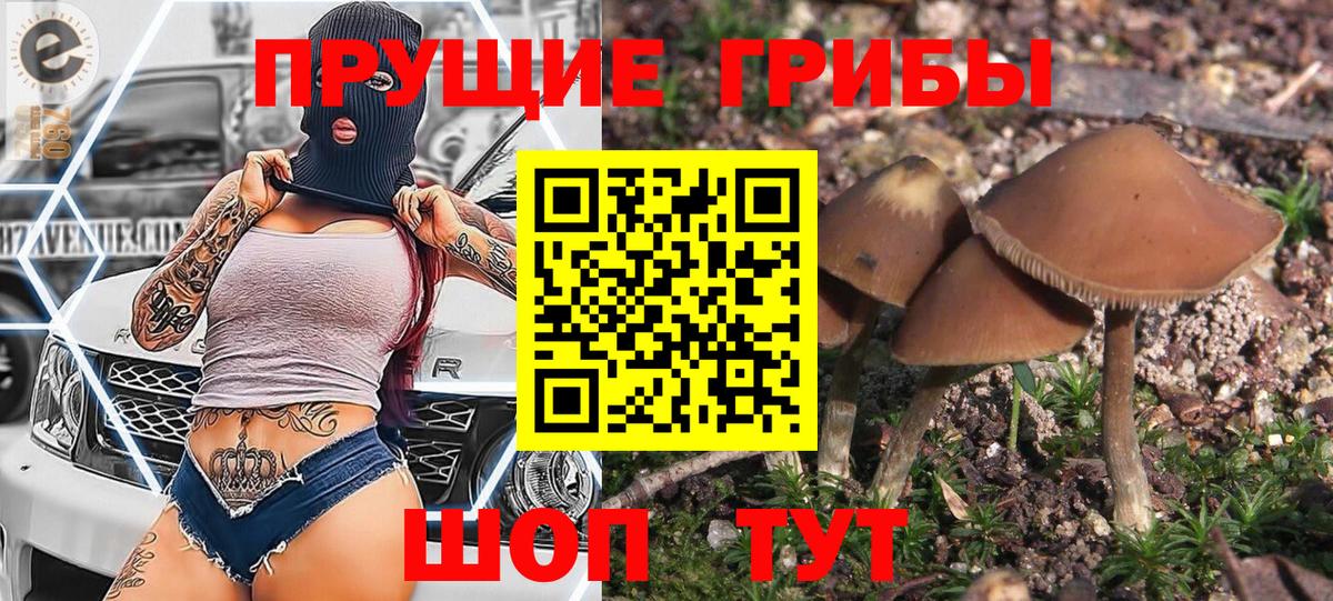 Новодвинск  Галлюциногенные грибы Psilocybe  Галлюциногенные грибы Magic Shrooms  Вход с VPN 